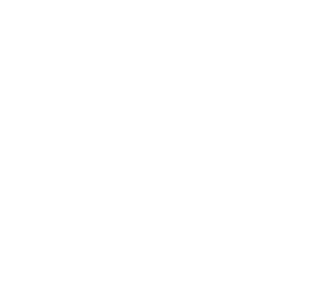 logo-uslbmfoundation-white2